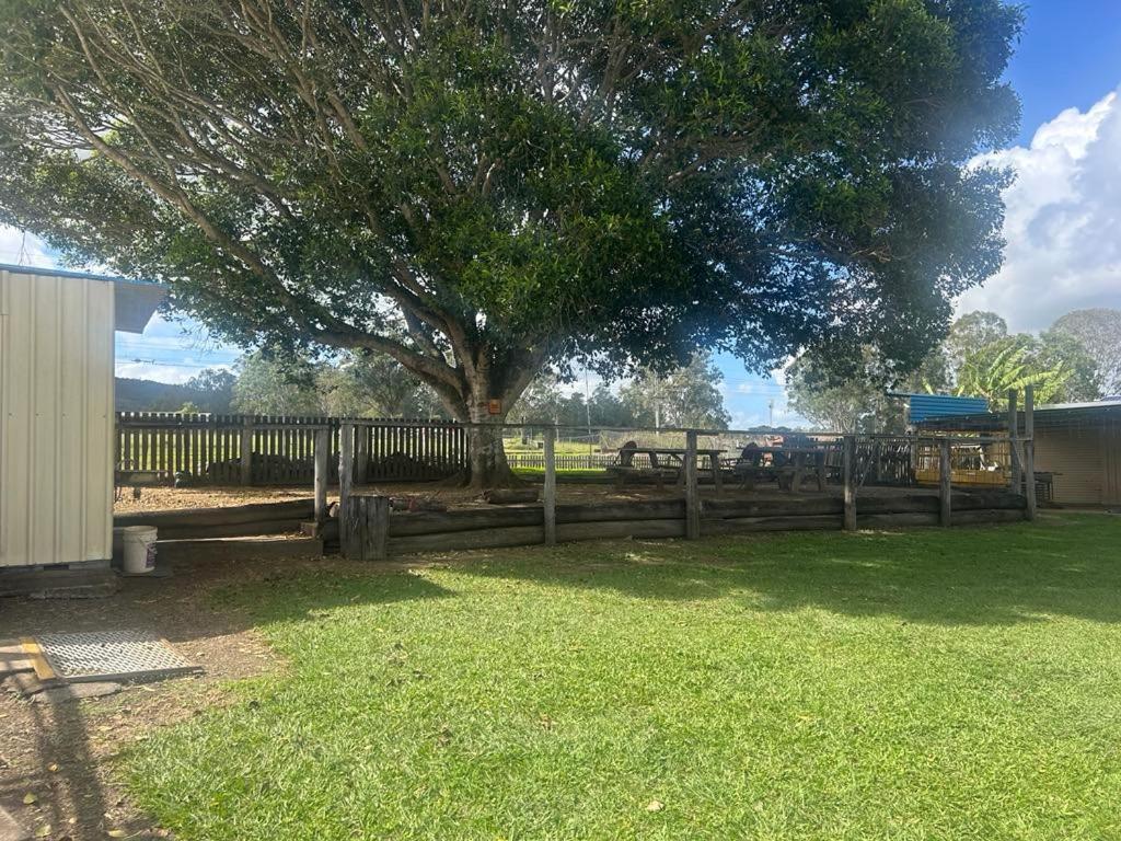 Gundy Pub & Caravan Park Gundiah Extérieur photo